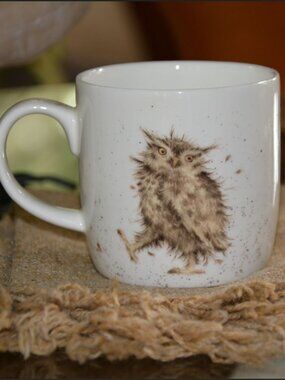 Adorable Royal Worcester Wrendale "What a Hoot" mug